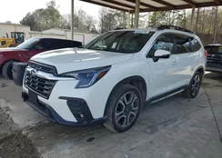 4S4WMAND2P3417172: 50500775