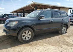 KNDJJ741X95019412: 84719584