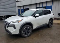 5N1BT3BB1RC758517: 79978505