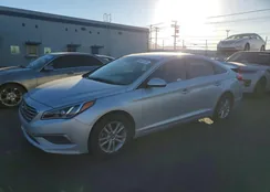 5NPE24AF0HH494479: 46041736