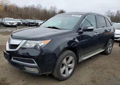 2HNYD2H60AH525983: 42051916