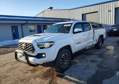 3TMDZ5BN3PM140807: 79352535