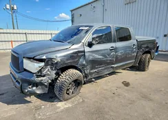 5TFEY5F13AX094153: 42020016