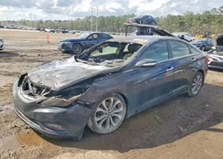 5NPEC4AB4DH668123: 41745546