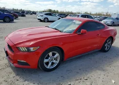 1FA6P8AM2F5332495: 79683785