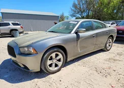 2B3CL3CGXBH507986: 47401386