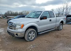 1FTEX1EM5BFD37556: 42051816