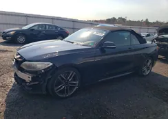 WBA1K5C50FV242542: 79663175