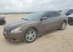 1N4AA5AP2DC803123: 41703176