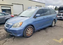 5FNRL38628B045379: 42024246