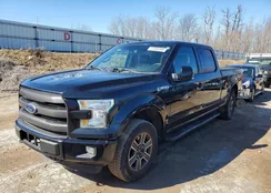 1FTFW1EG8GFD01806: 41805346