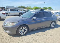 1HGCR3F86EA012559: 45831806