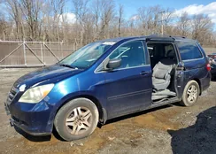 5FNRL384X7B098084: 41814296