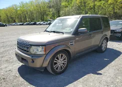 SALAG2D45BA558764: 54557815