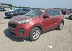 KNDPM3ACXH7152447: 54053545