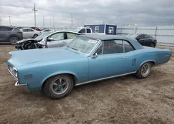 237677P304911: 54901315