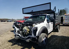 1FDUF4GY2KDA17912: 53397085