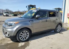 KNDJP3A56K7630627: 79837544