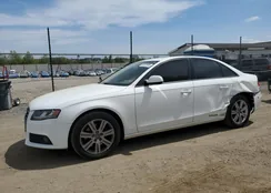 WAUBFAFL2AN056974: 81259225