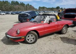 ZARBA5584H1048114: 53203505