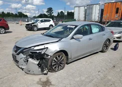 1N4AL3AP7HC202987: 53968764