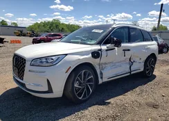 5LMTJ5DZ9RUL06144: 55814985