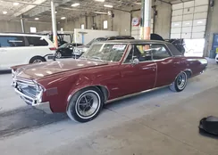 237396K138705: 55467025