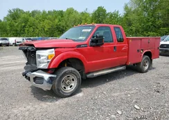 1FD8X3B64FEC65478: 91147385