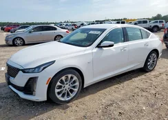 1G6DS5RK9P0149016: 61144795