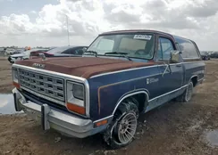 1B4GD12T5FS681928: 61477125