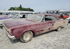 N0V1N66SATALL1TE: 59393465