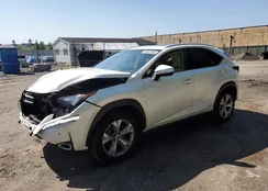 JTJBARBZ9H2071264: 61501165