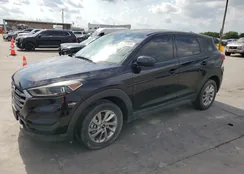 KM8J23A47HU336195: 64265694