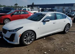 1G6DT5RK8L0128908: 63489065