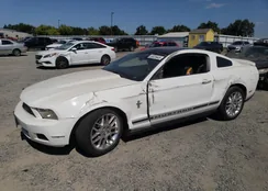 1ZVBP8AM7C5247847: 66925645