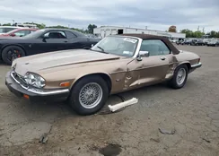 SAJNW4848LC174311: 69420114