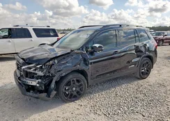 5FNYF8H86RB002604: 68025745