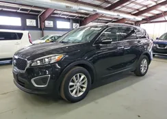 5XYPG4A54HG305096: 67861585