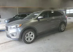 5XYPHDA54GG005974: 70779895