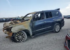 JTJBM7FX8H5153974: 69392935