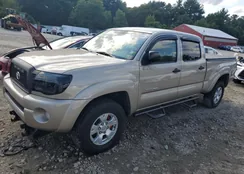 5TEMU52N65Z129119: 66962925