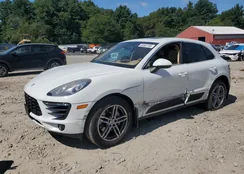 WP1AB2A52GLB44564: 69303105