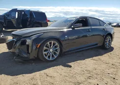 1G6DP5RK8S0113005: 71454325