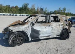 KM8R5DGE9RU700439: 81197735