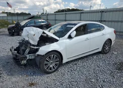 KNALN4D78F5187123: 81854035