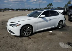 ZARFANAN4L7625212: 80734685