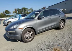 WP1AA2A29ELA94199: 81448845