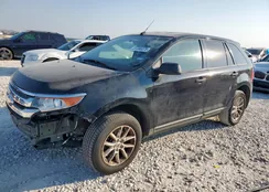 2FMDK3GC6EBA57771: 81395375