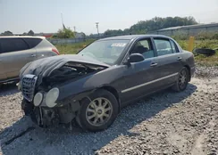 KNALD124065099189: 81261215