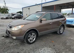 KM8NU4CC0CU191581: 71255885